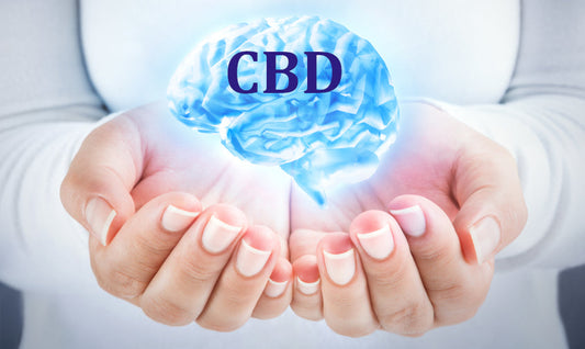 Kанабидиолът (CBD) подобрява мозъчната функция