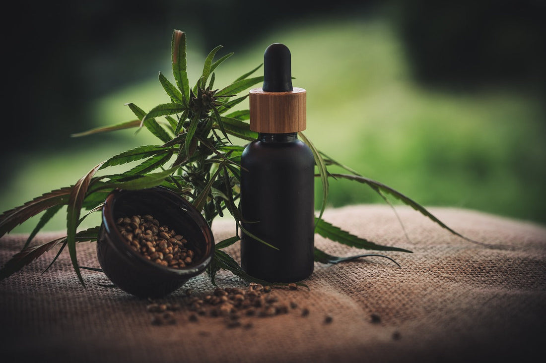CBD при рак: Какво казва науката?