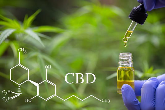 Бъдещето на CBD в медицината