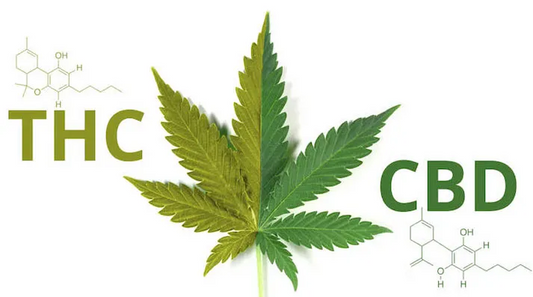 CBD или THC – кое е по-добро за депресията?