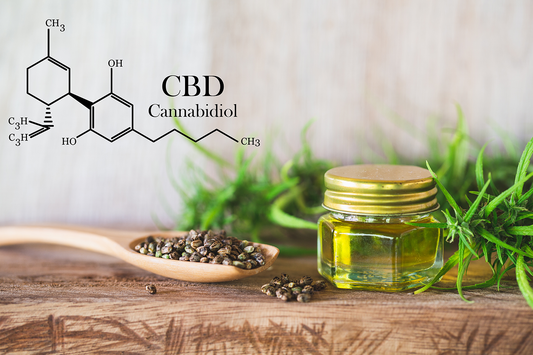 Започнете Новата Година с CBD: Как да Направите Първата Стъпка през 2025 г.