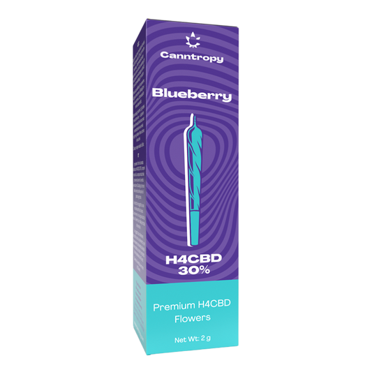 Canntropy - Blueberry H4CBD Джойнт