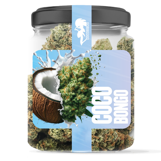 Coco Bongo - Чай от CBD Цветя