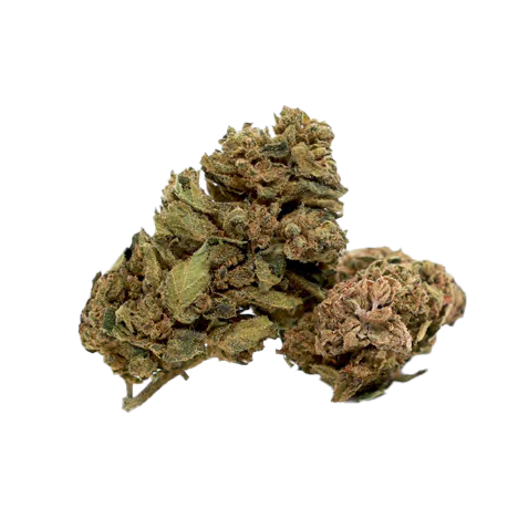 Special Sauce - Чай от CBD Цветя